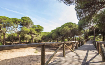 Descubre la belleza natural de Rota: Un paraíso para los amantes de la naturaleza