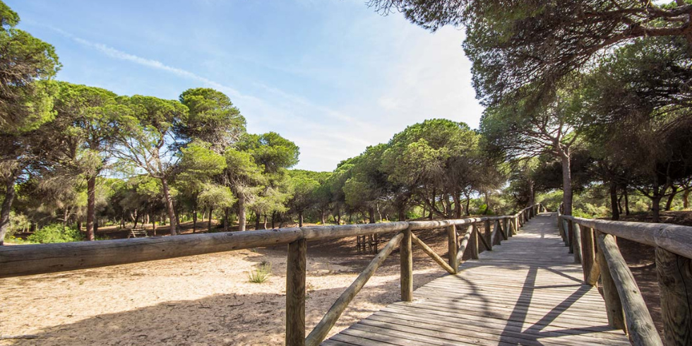 Descubre la belleza natural de Rota: Un paraíso para los amantes de la naturaleza